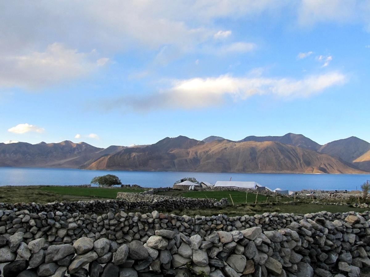 Pangong Delight Camps And Cottages Spangmik Exteriör bild