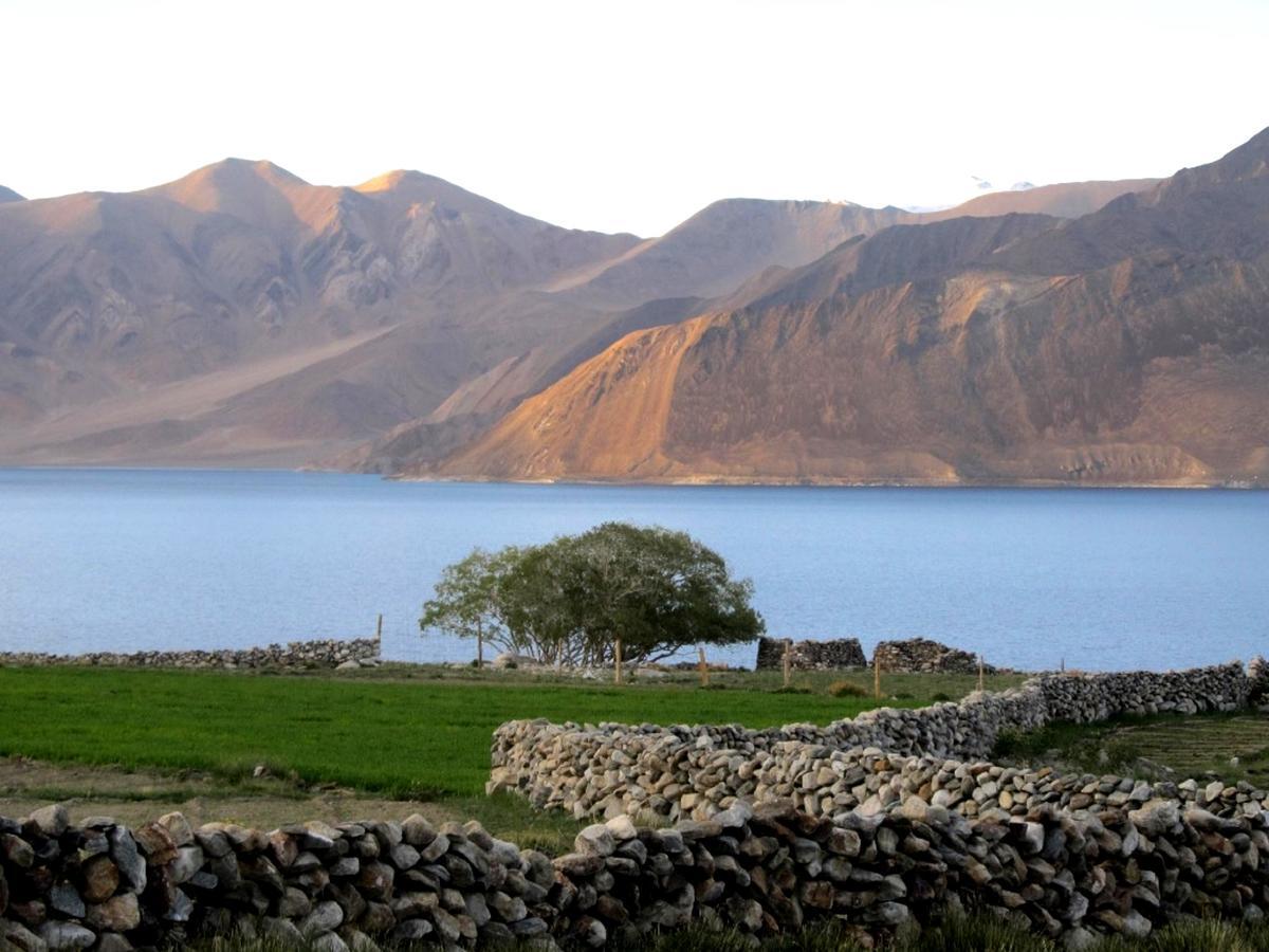 Pangong Delight Camps And Cottages Spangmik Exteriör bild