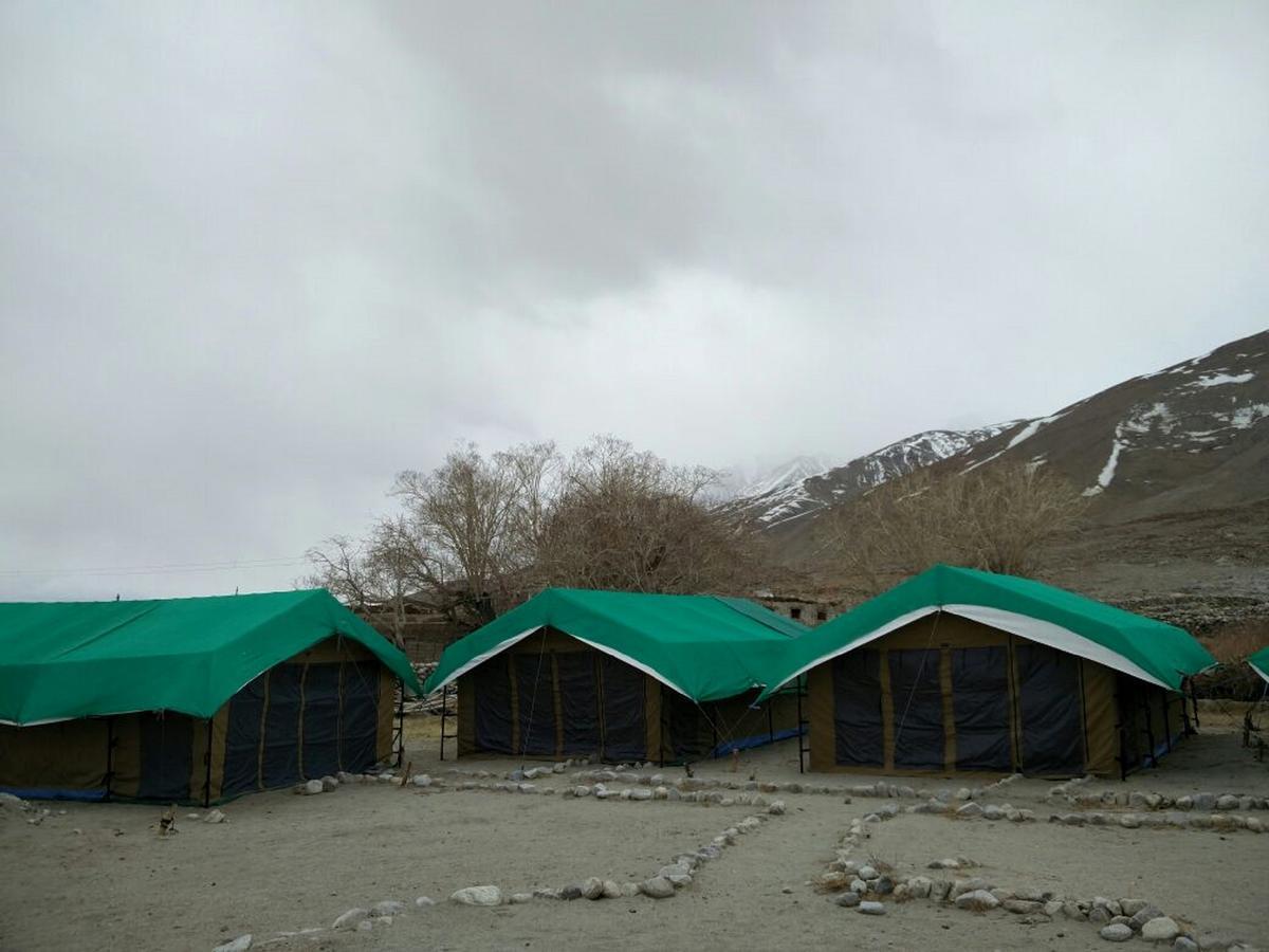 Pangong Delight Camps And Cottages Spangmik Exteriör bild