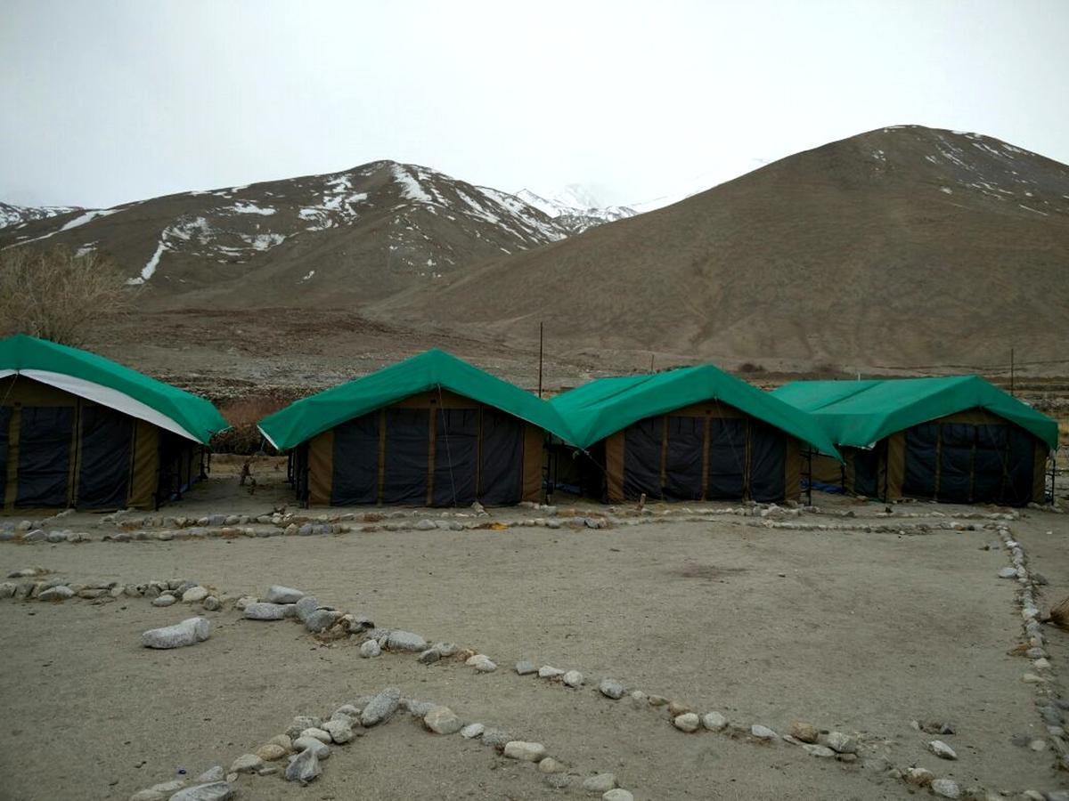 Pangong Delight Camps And Cottages Spangmik Exteriör bild
